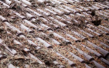 Low Laithes roof cleaning companies